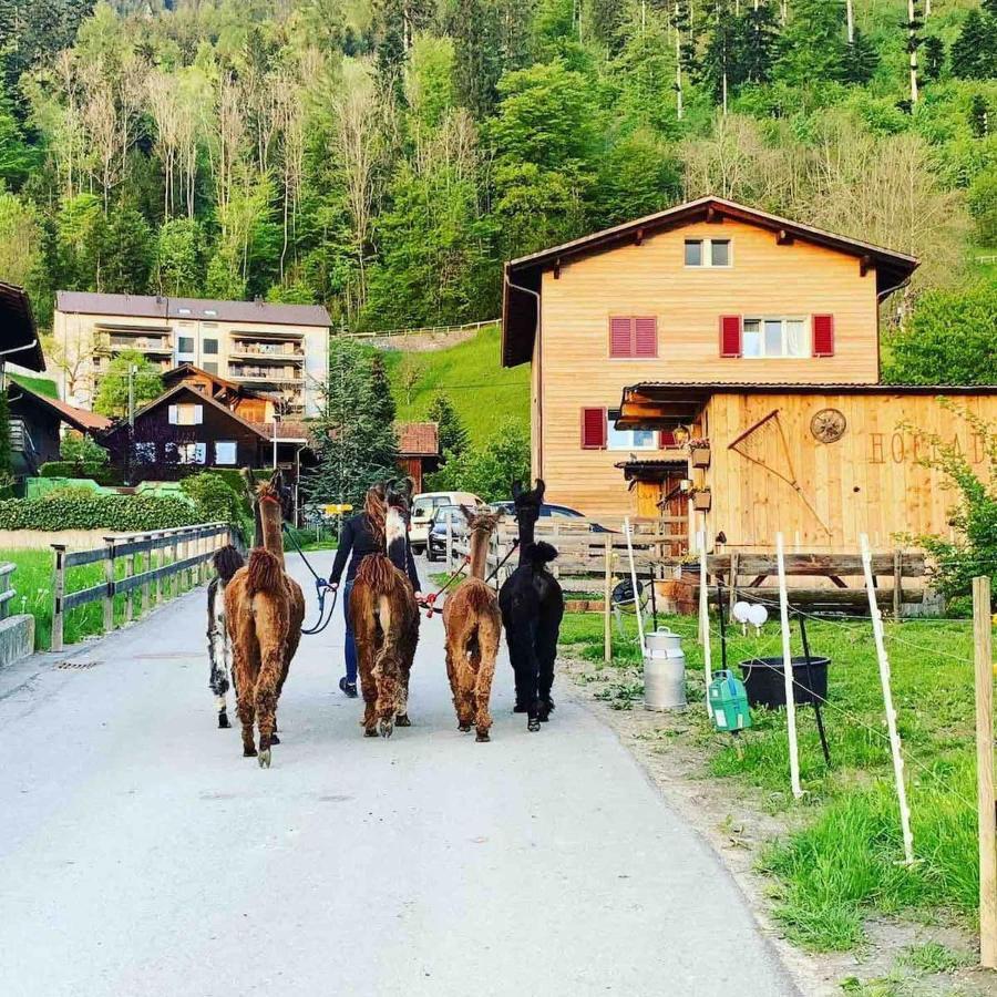 Jurte Beim Lama- & Alpakahof Triesenberg Hotel ภายนอก รูปภาพ