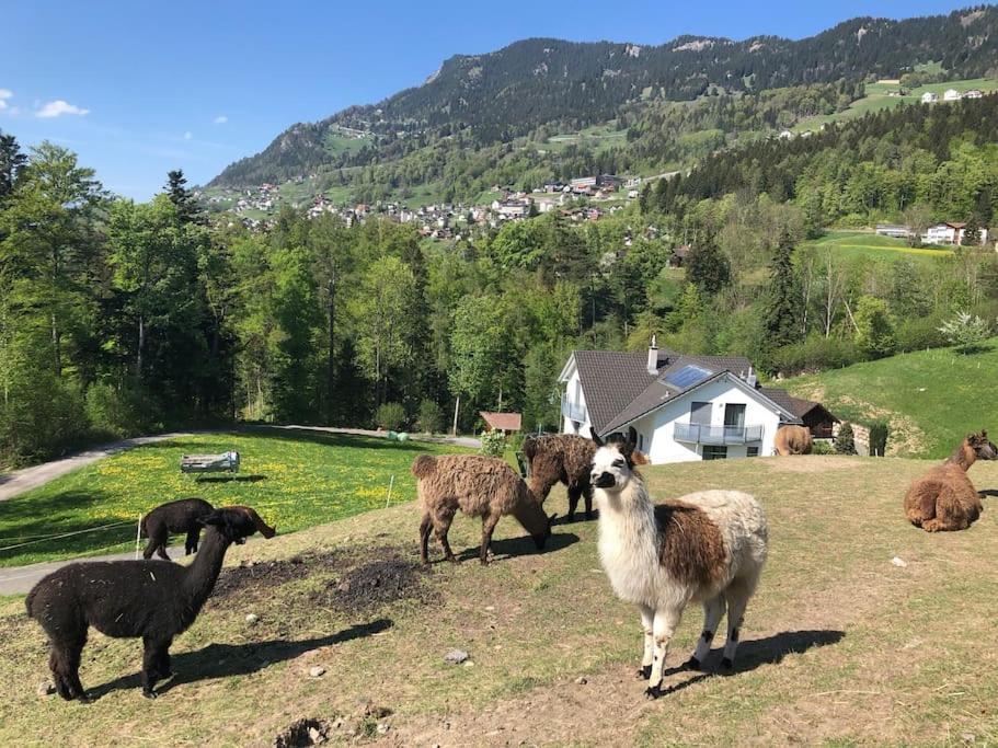 Jurte Beim Lama- & Alpakahof Triesenberg ภายนอก รูปภาพ