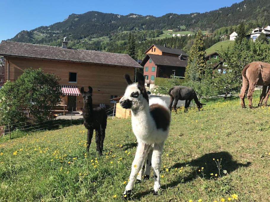 Jurte Beim Lama- & Alpakahof Triesenberg Hotel ภายนอก รูปภาพ